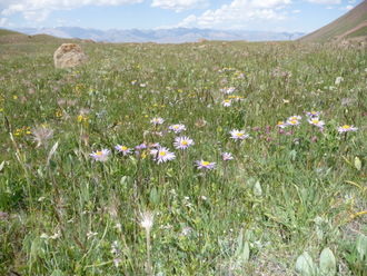 Hochebene, ca. 3600m